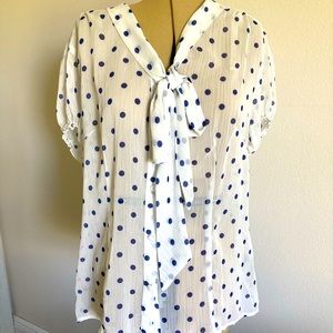 Zac & Rachel sheer white with royal blue polka dots.